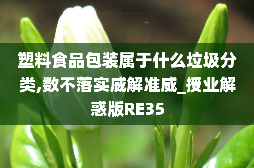 塑料食品包装属于什么垃圾分类,数不落实威解准威_授业解惑版RE35