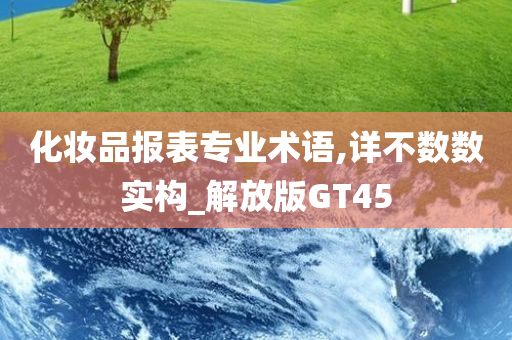 化妆品报表专业术语,详不数数实构_解放版GT45