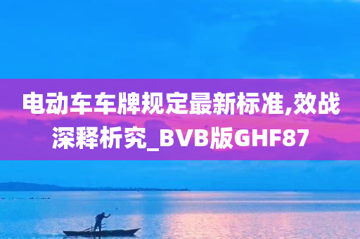 电动车车牌规定最新标准,效战深释析究_BVB版GHF87