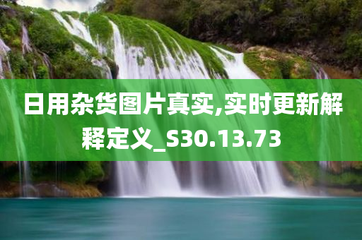 日用杂货图片真实,实时更新解释定义_S30.13.73