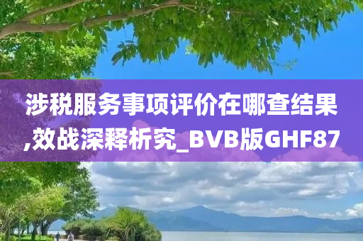 涉税服务事项评价在哪查结果,效战深释析究_BVB版GHF87