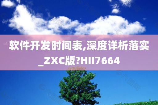 软件开发时间表,深度详析落实_ZXC版?HII7664