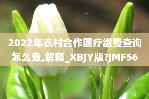 2022年农村合作医疗缴费查询怎么查,解释_XBJY版?JMF56