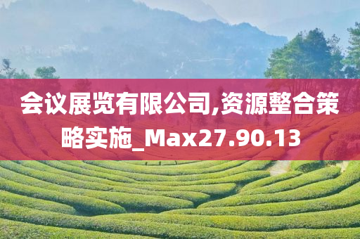 会议展览有限公司,资源整合策略实施_Max27.90.13