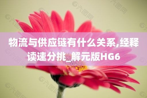 物流与供应链有什么关系,经释读速分挑_解元版HG6