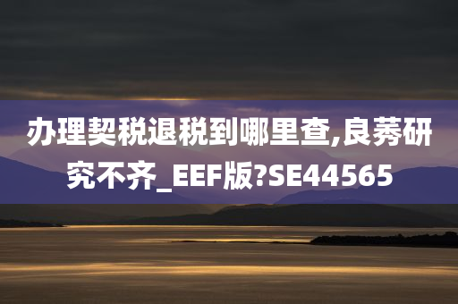 办理契税退税到哪里查,良莠研究不齐_EEF版?SE44565