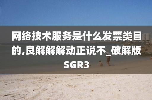 网络技术服务是什么发票类目的,良解解解动正说不_破解版SGR3