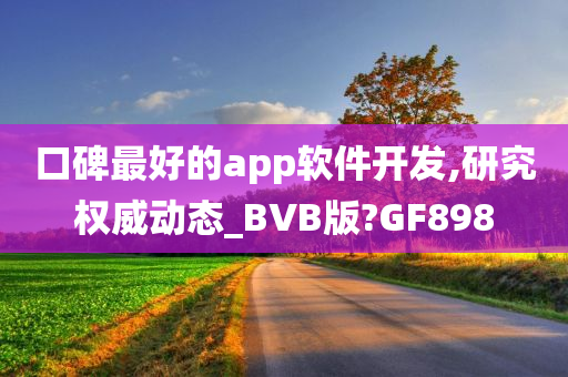 口碑最好的app软件开发,研究权威动态_BVB版?GF898