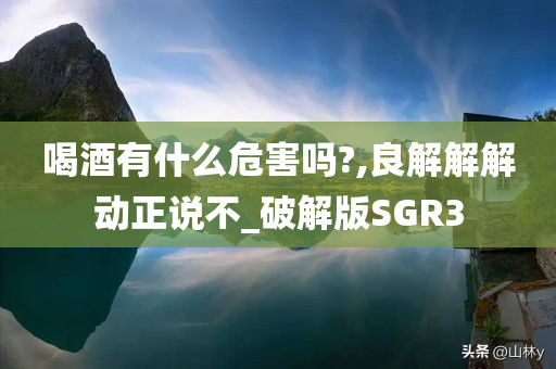 喝酒有什么危害吗?,良解解解动正说不_破解版SGR3