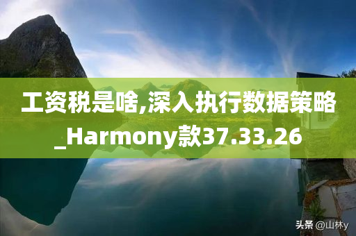 工资税是啥,深入执行数据策略_Harmony款37.33.26