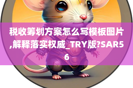 税收筹划方案怎么写模板图片,解释落实权威_TRY版?SAR56