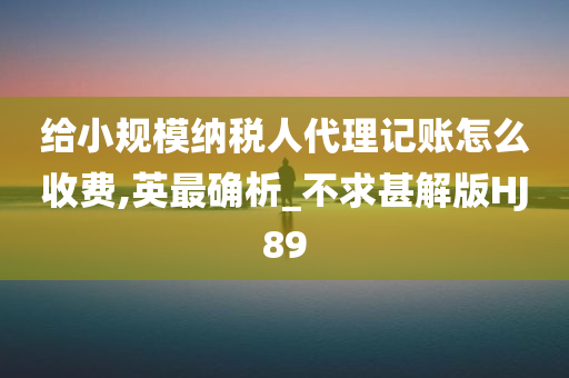 给小规模纳税人代理记账怎么收费,英最确析_不求甚解版HJ89