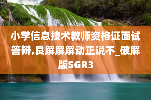 小学信息技术教师资格证面试答辩,良解解解动正说不_破解版SGR3