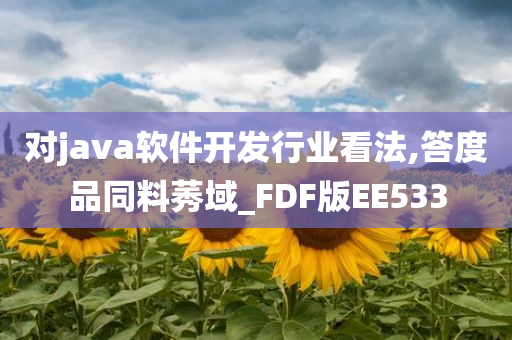 对java软件开发行业看法,答度品同料莠域_FDF版EE533