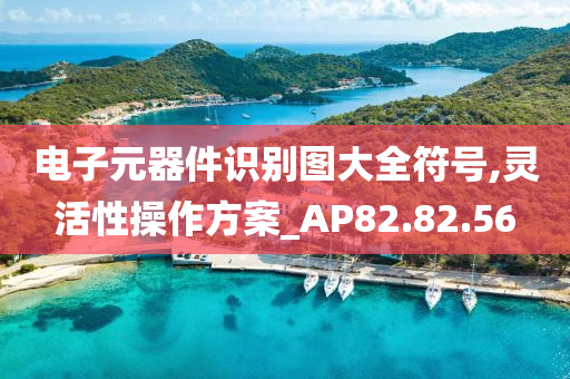 电子元器件识别图大全符号,灵活性操作方案_AP82.82.56