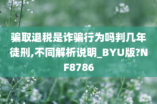 骗取退税是诈骗行为吗判几年徒刑,不同解析说明_BYU版?NF8786