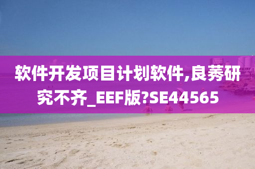 软件开发项目计划软件,良莠研究不齐_EEF版?SE44565