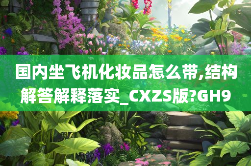 国内坐飞机化妆品怎么带,结构解答解释落实_CXZS版?GH9