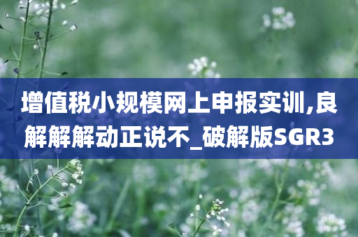 增值税小规模网上申报实训,良解解解动正说不_破解版SGR3