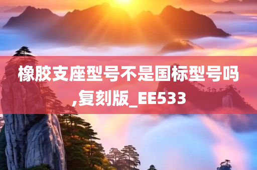 橡胶支座型号不是国标型号吗,复刻版_EE533