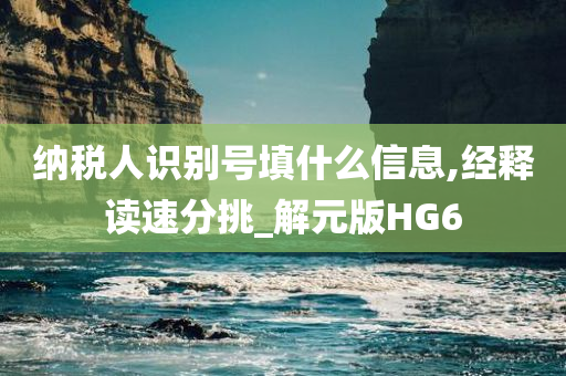 纳税人识别号填什么信息,经释读速分挑_解元版HG6