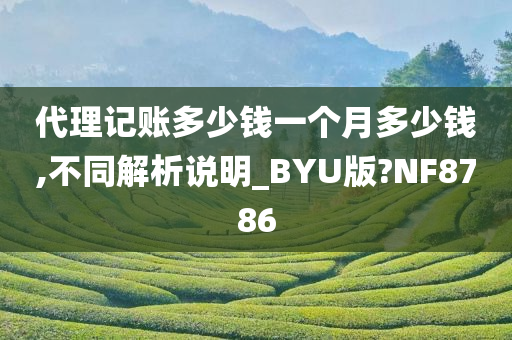 代理记账多少钱一个月多少钱,不同解析说明_BYU版?NF8786