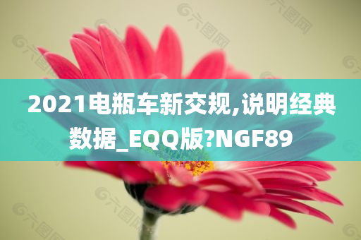 2021电瓶车新交规,说明经典数据_EQQ版?NGF89