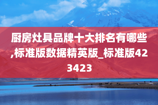 厨房灶具品牌十大排名有哪些,标准版数据精英版_标准版423423