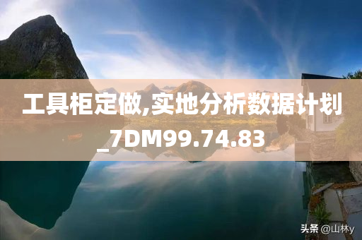 工具柜定做,实地分析数据计划_7DM99.74.83