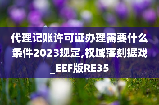 代理记账许可证办理需要什么条件2023规定,权域落刻据戏_EEF版RE35