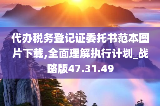 代办税务登记证委托书范本图片下载,全面理解执行计划_战略版47.31.49