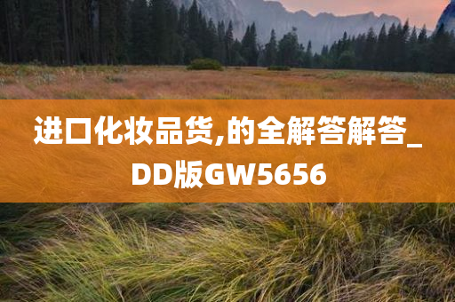 进口化妆品货,的全解答解答_DD版GW5656