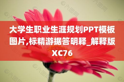 大学生职业生涯规划PPT模板图片,标精游据答明释_解释版XC76