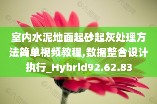 室内水泥地面起砂起灰处理方法简单视频教程,数据整合设计执行_Hybrid92.62.83