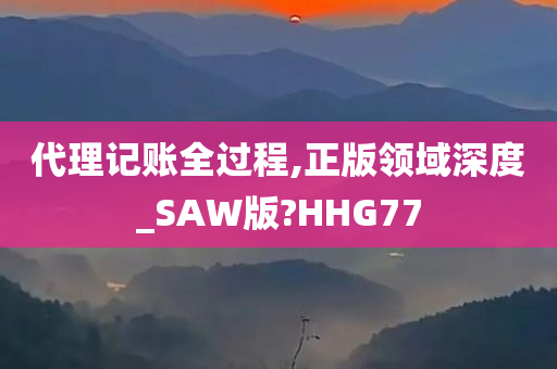 代理记账全过程,正版领域深度_SAW版?HHG77