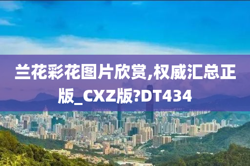 兰花彩花图片欣赏,权威汇总正版_CXZ版?DT434