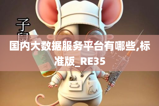 国内大数据服务平台有哪些,标准版_RE35