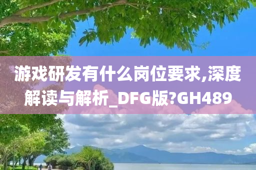 游戏研发有什么岗位要求,深度解读与解析_DFG版?GH489