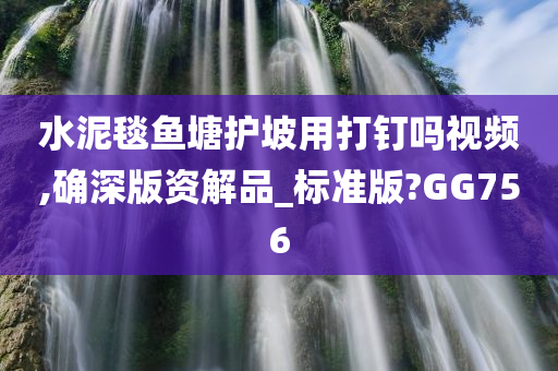 水泥毯鱼塘护坡用打钉吗视频,确深版资解品_标准版?GG756