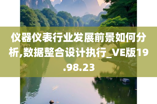 仪器仪表行业发展前景如何分析,数据整合设计执行_VE版19.98.23