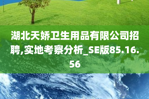 湖北天娇卫生用品有限公司招聘,实地考察分析_SE版85.16.56