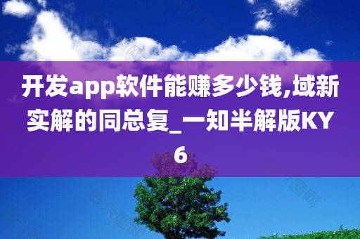 开发app软件能赚多少钱,域新实解的同总复_一知半解版KY6