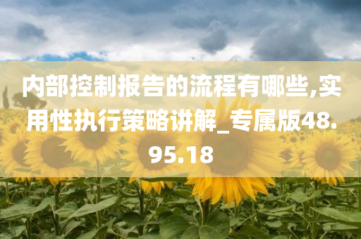 内部控制报告的流程有哪些,实用性执行策略讲解_专属版48.95.18