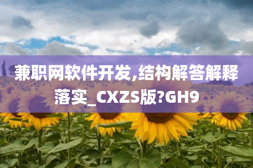 兼职网软件开发,结构解答解释落实_CXZS版?GH9