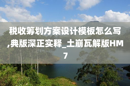 税收筹划方案设计模板怎么写,典版深正实释_土崩瓦解版HM7