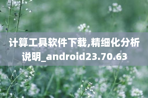 计算工具软件下载,精细化分析说明_android23.70.63