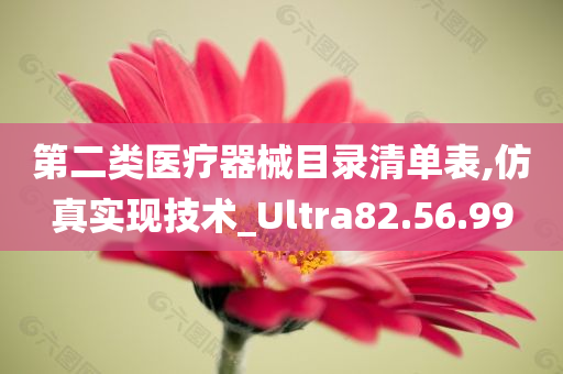 第二类医疗器械目录清单表,仿真实现技术_Ultra82.56.99