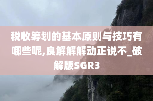 税收筹划的基本原则与技巧有哪些呢,良解解解动正说不_破解版SGR3