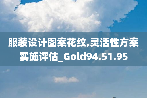 服装设计图案花纹,灵活性方案实施评估_Gold94.51.95