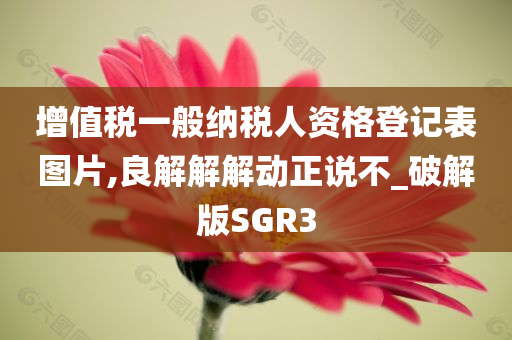 增值税一般纳税人资格登记表图片,良解解解动正说不_破解版SGR3